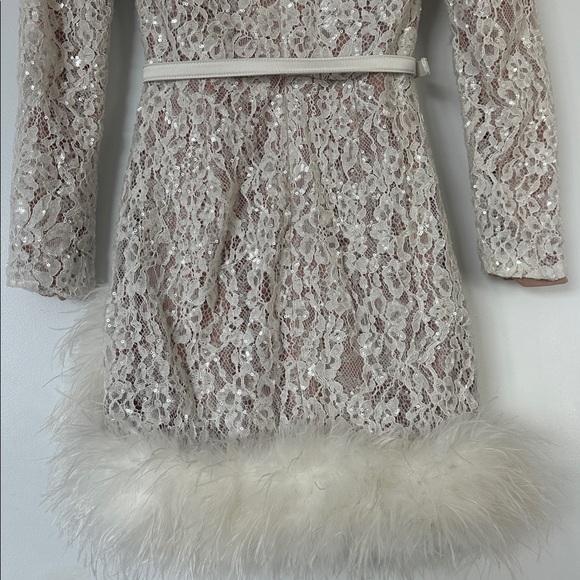 NADINE MERABI Carly Sequins  Mini Dress with detatchable belt and Feather Detail - Picture 11 of 15